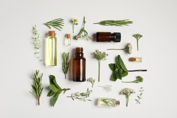 Essential oils and different plants on white background, flat lay