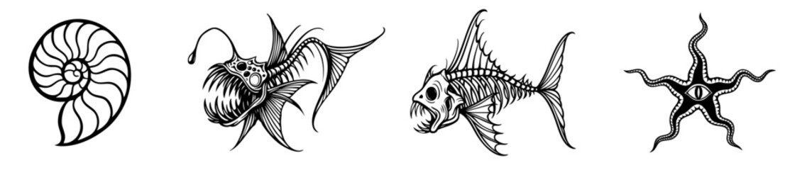 Ammonite shell, deep sea anglerfish, predatory fish skeleton, brittle star

