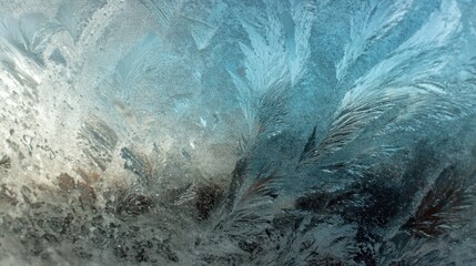 frosty windowpane winter design art