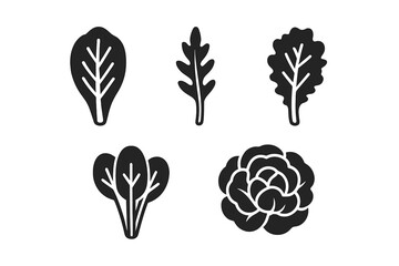 Leafy greens icon set. Solid glyph icons of salad vegetables. Romaine lettuce, arugula, kale, spinach, butter lettuce. Healthy food vector illustration for design.