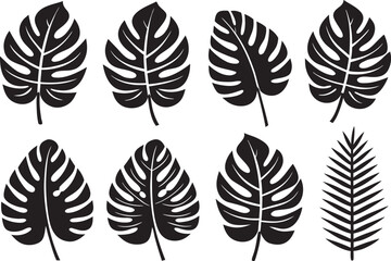 Collection of Black Silhouette Tropical Leaves on White Background Vector Illustration Design Elements for Graphic Projects and Creative Decorations