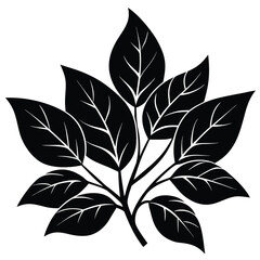 Florist element isolated green foliage on white background 