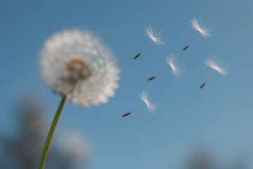 A Moment of Freedom in Nature's Embrace