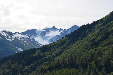 Fototapeta premium Exit Glacier Alaska 2025