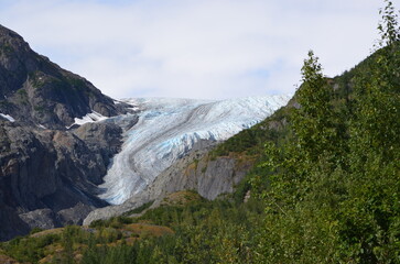 Exit Glacier Alaska 2025