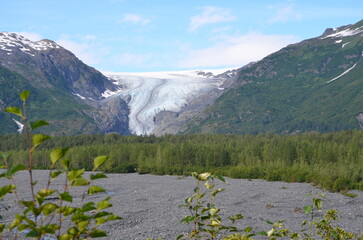 Exit Glacier Alaska 2025