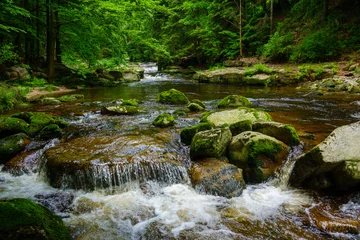 Fototapete Rund Wald Fluss Mountain river cascades over mossy rocks in a green forest  © Svitlana