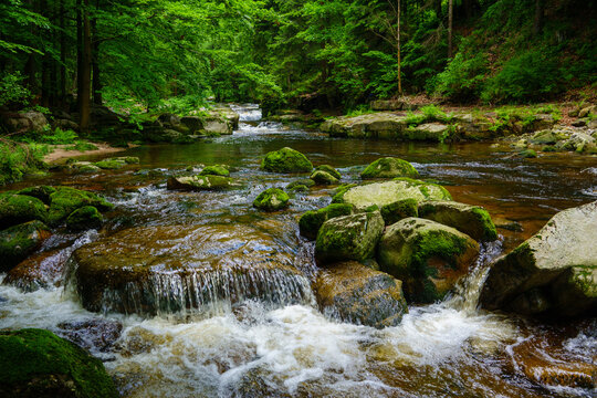 Mountain river cascades over mossy rocks in a green forest