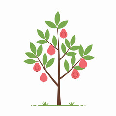 Flat illustration of a guava tree with ripe pink fruit and green leaves, perfect for fruit, agriculture, or healthy food concepts.