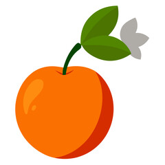 vector illustration of an orange
