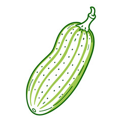 cucumber isolated on white background