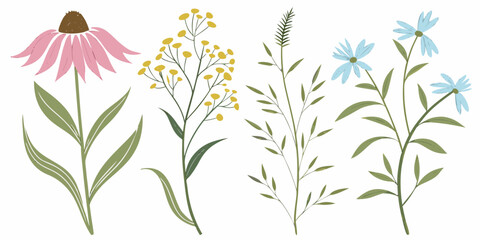 Fototapeta premium Floral vector illustration featuring seamless patterns of various plants, leaves, and green grass, perfect for spring and summer nature designs