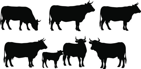 Cow silhouettes, calf silhouettes, grazing cattle, walking bovine, farm animals, livestock vector, horned calf, beef cattle, countryside illustration,