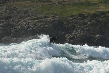 wave breaking on rocks