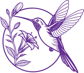 Obraz premium Hummingbird feeding on flower nectar, graceful bird art illustration, simple elegant line art design