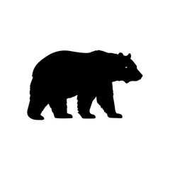Fototapeta premium Black bear