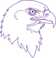 Purple eagle head line art illustration for print or design project with transparent background