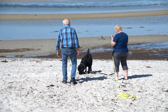 Elderly couple with black dog on beach in northern Denmark.