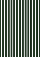 Dark Green and White Striped Seamless Pattern