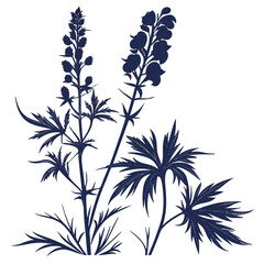 black and white aconitum napellus