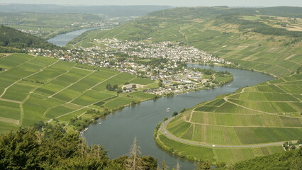 Mehring an der Mosel