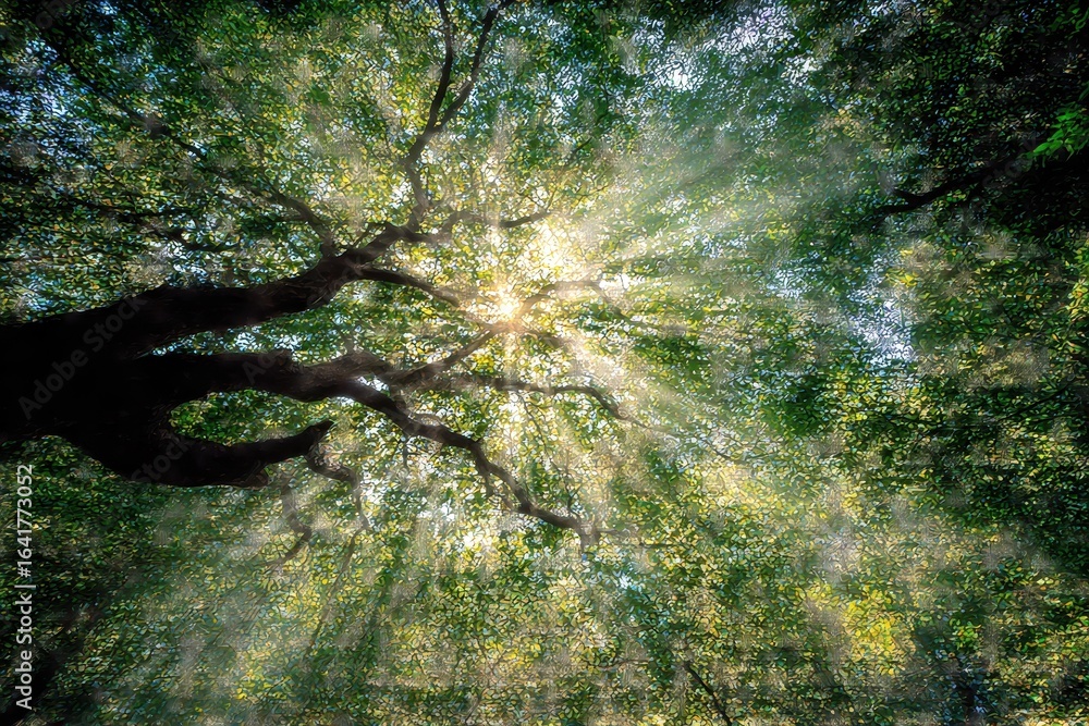 Poster sunlight filters through dense tree foliage in a tranquil forest during late afternoon hours