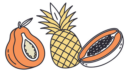 vector illustration of pineapple