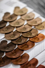 Set of hair samples with different natural color shade.  Close-up of hair color palette with a wide range of color swatches. Hair color samples choice chart for dying hair.  Selective focus.