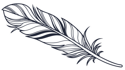feather vector illustration