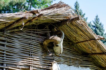 A ram's head is hanging from a roof. The ram's head is on a wooden structure