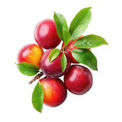 Obraz premium Close-up of plums and leaves