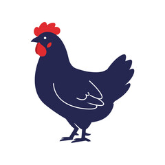 Dark blue chicken illustration with red comb farm animal vector