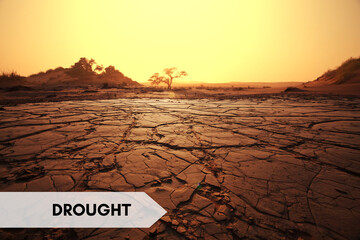 Crack soil on dry season, Drought Land Concept Global worming effect 