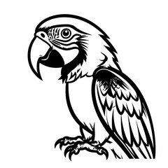 Obraz premium A detailed black and white illustration of a parrot in a side profile, showcasing intricate feather and beak details