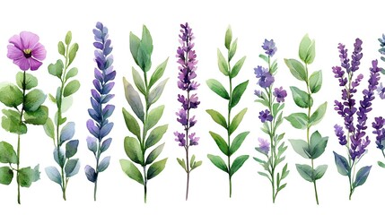 Watercolor floral arrangement with purple lavender stems and pink wildflowers on white background, botanical herbs and greenery pattern for stationery design.