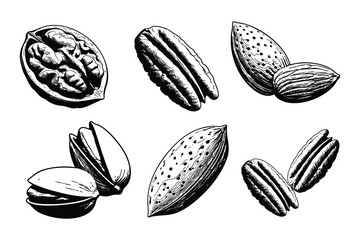 Assorted Nuts Vector Illustration Collection Healthy Snack Food Graphic Design Elements