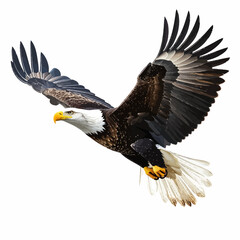 Obraz premium A majestic bald eagle soars in mid-flight, showcasing detailed feathers and a proud profile against a white backdrop