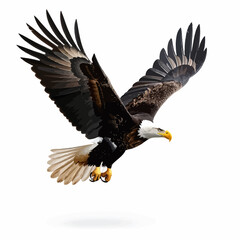 Obraz premium A majestic bald eagle soars with outstretched wings against a stark white background, showcasing its impressive form