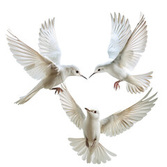Fototapeta premium Three white doves in flight forming heart, nature background, peace symbol, card design
