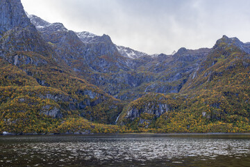 Autumn landscape in Lofoten Islands, Northern Norway, featuring colorful foliage, and a peaceful...