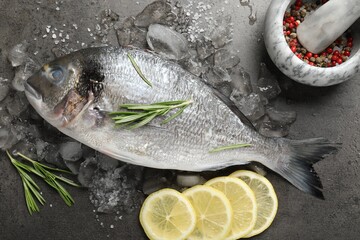 Fresh raw dorado fish, ice, lemon slices and rosemary on grey table, flat lay. Organic seafood