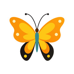 Butterfly vector illustration isolated on white background with orange and yellow wings