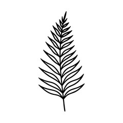 Fototapeta premium Fern Leaf Graceful Botanical Line Drawing with Elegant Natural Simplicity Vector illustration