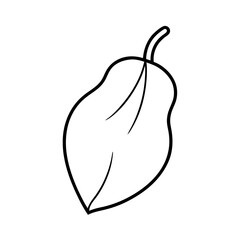 Ivy Gourd Leaf Minimal Botanical Line Drawing with Elegant Organic Aesthetic Vector illustration