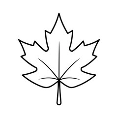 Maple Leaf Minimal Botanical Line Art Depiction with Elegant Detailing Vector illustration