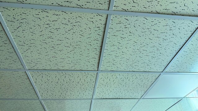 Black speckled tiles arranged in a grid framework pattern form the ceiling visible overhead