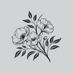 Botanical Ranunculus Flower Monochrome Art