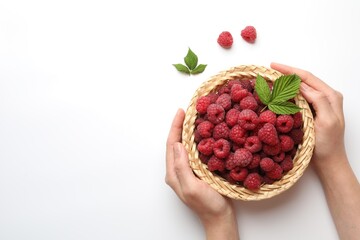 Woman with tasty fresh ripe raspberries and leaves on white background, top view. Space for text