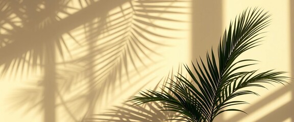 Obraz premium Soft sunlight casts palm leaf shadows on a beige wall, creating a blank frame , tropical leaves, natural light