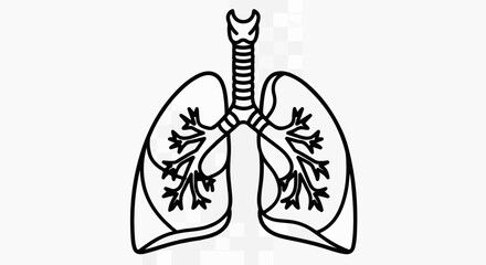 Anatomical Lungs Illustration with Trachea and Bronchial Tree in Black Outline